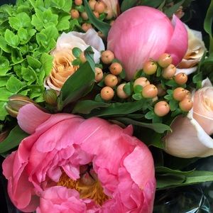 Meet your Posher, Leya